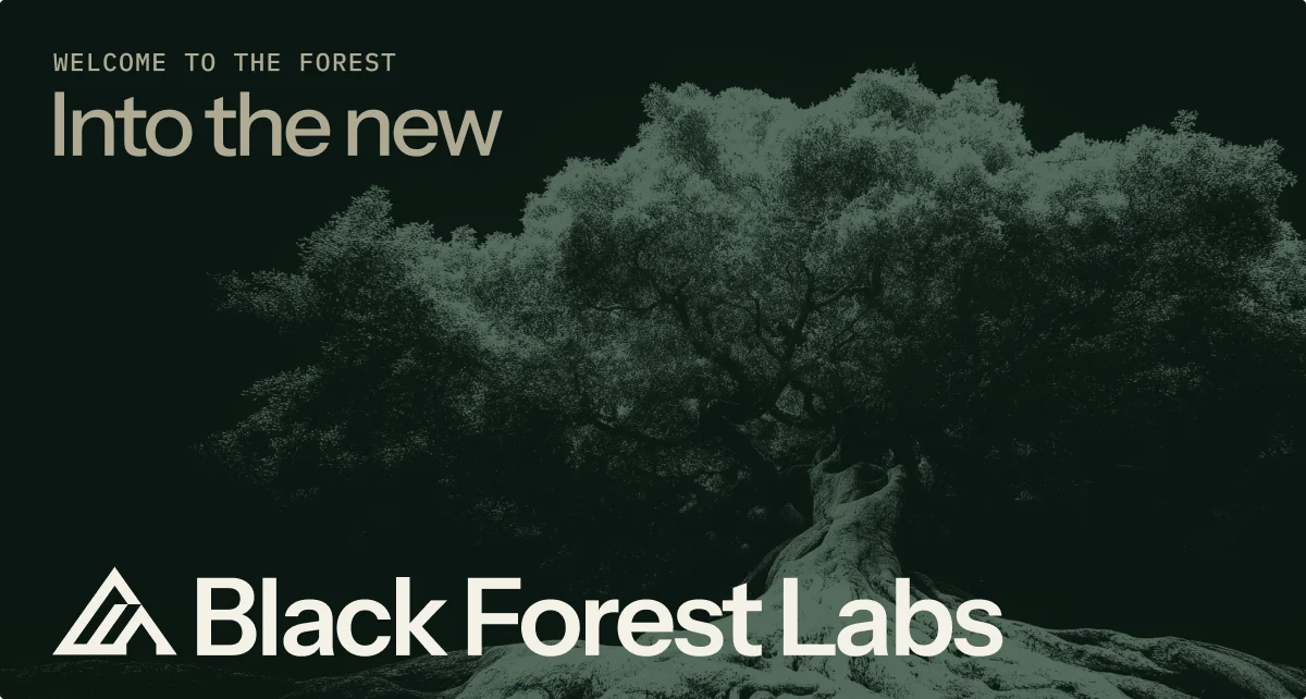 Black Forest Labs (Flux)