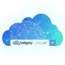 Bidgely Utility Analytics