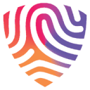 BigID AI Data Privacy