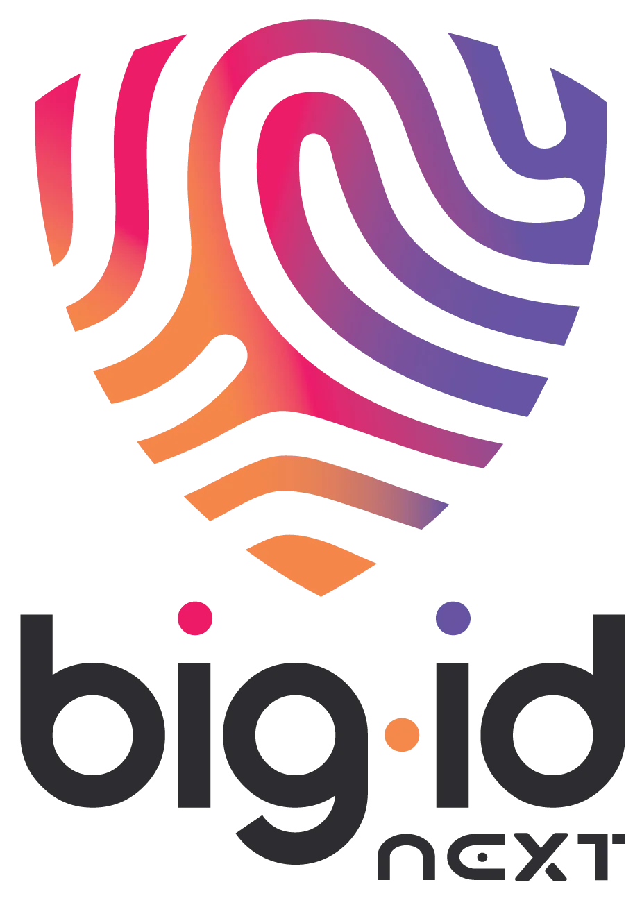BigID AI Data Privacy