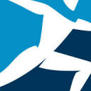 Boston Dynamics AI Robot