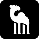 CamelAI