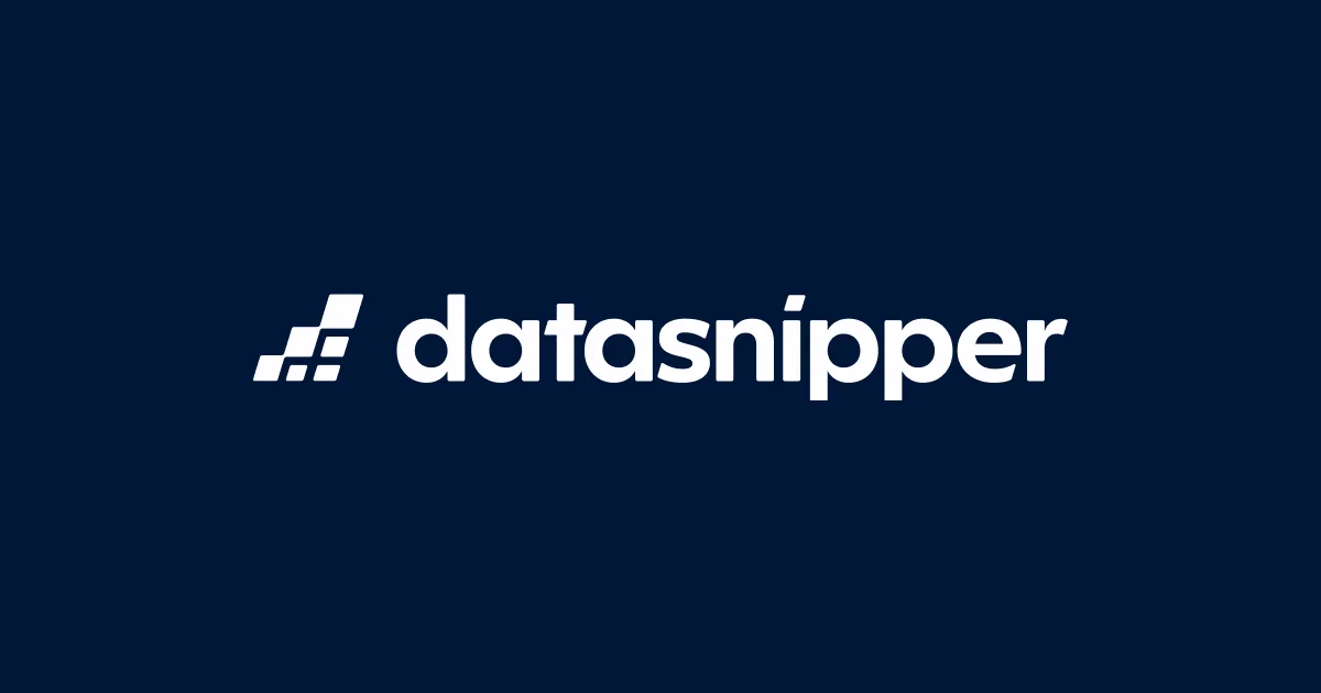 DataSnipper AI Audit