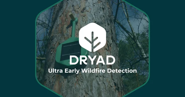 Dryad Networks
