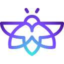 Firefly AI Cloud Asset
