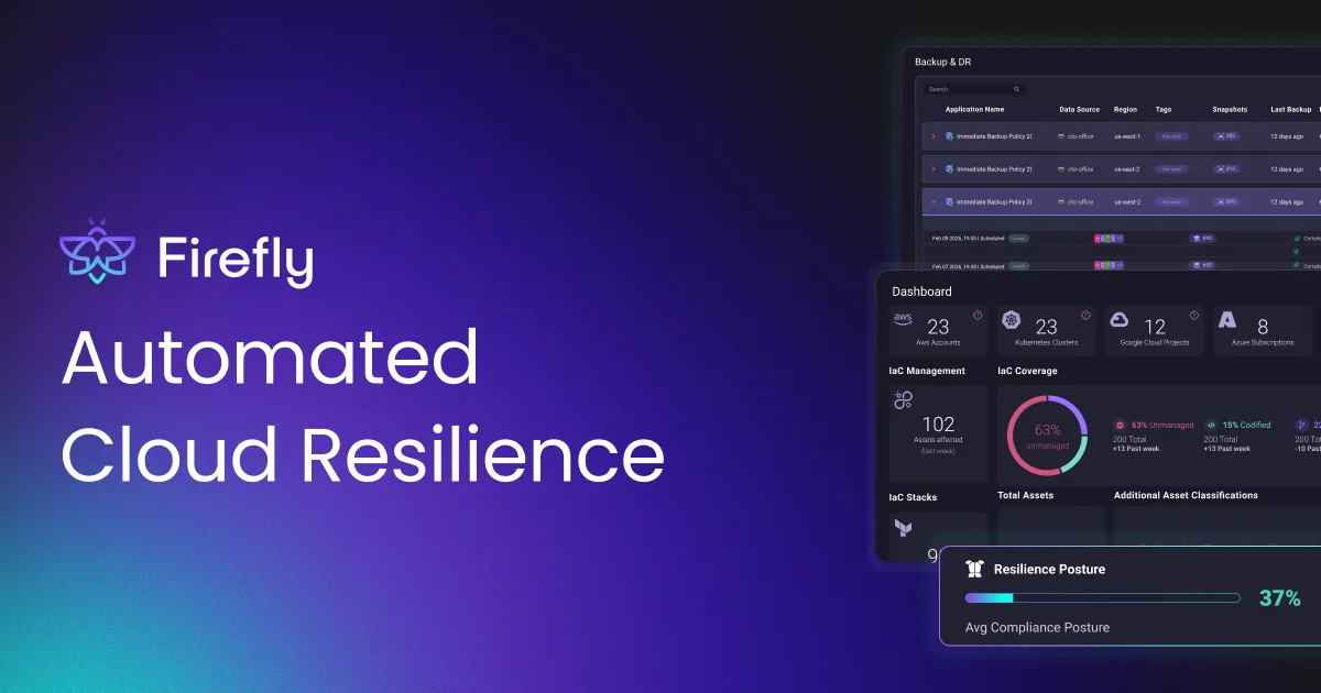 Firefly AI Cloud Asset