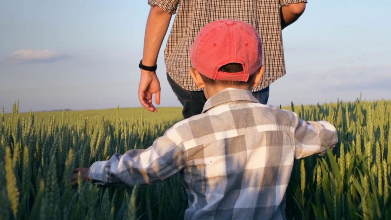 Indigo Ag Sustainability