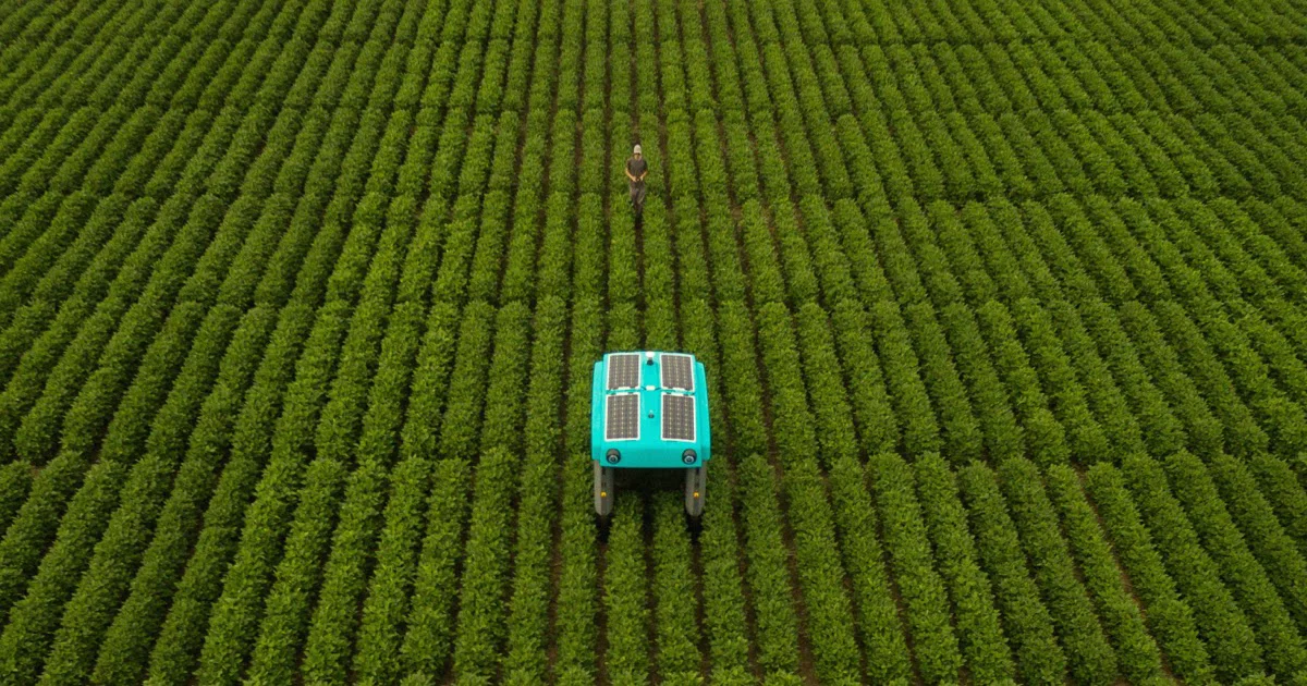 Mineral AI Crop Insights