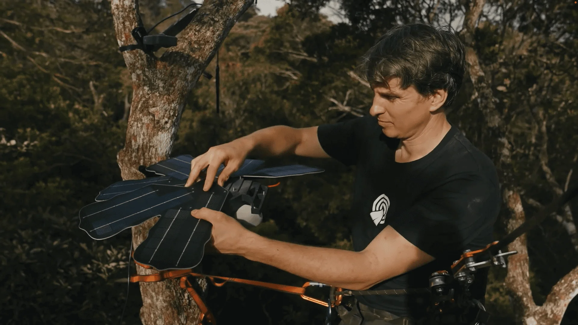 Rainforest Connection (RFCx)