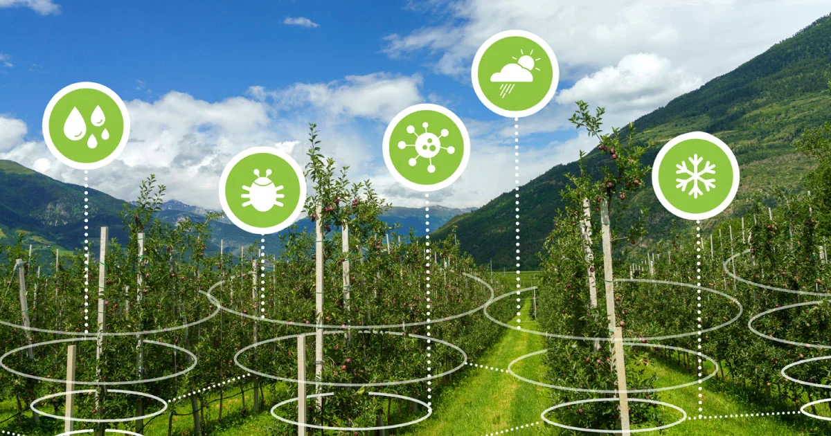 Semios Orchard Analytics