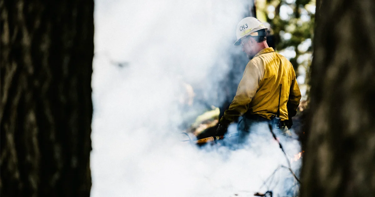 Vibrant Planet Land Tender