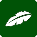 Jungle (Wisdolia AI Study Cards)