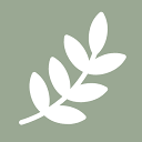 Yard AI Landscape Design