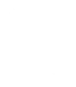 ClimaTwin
