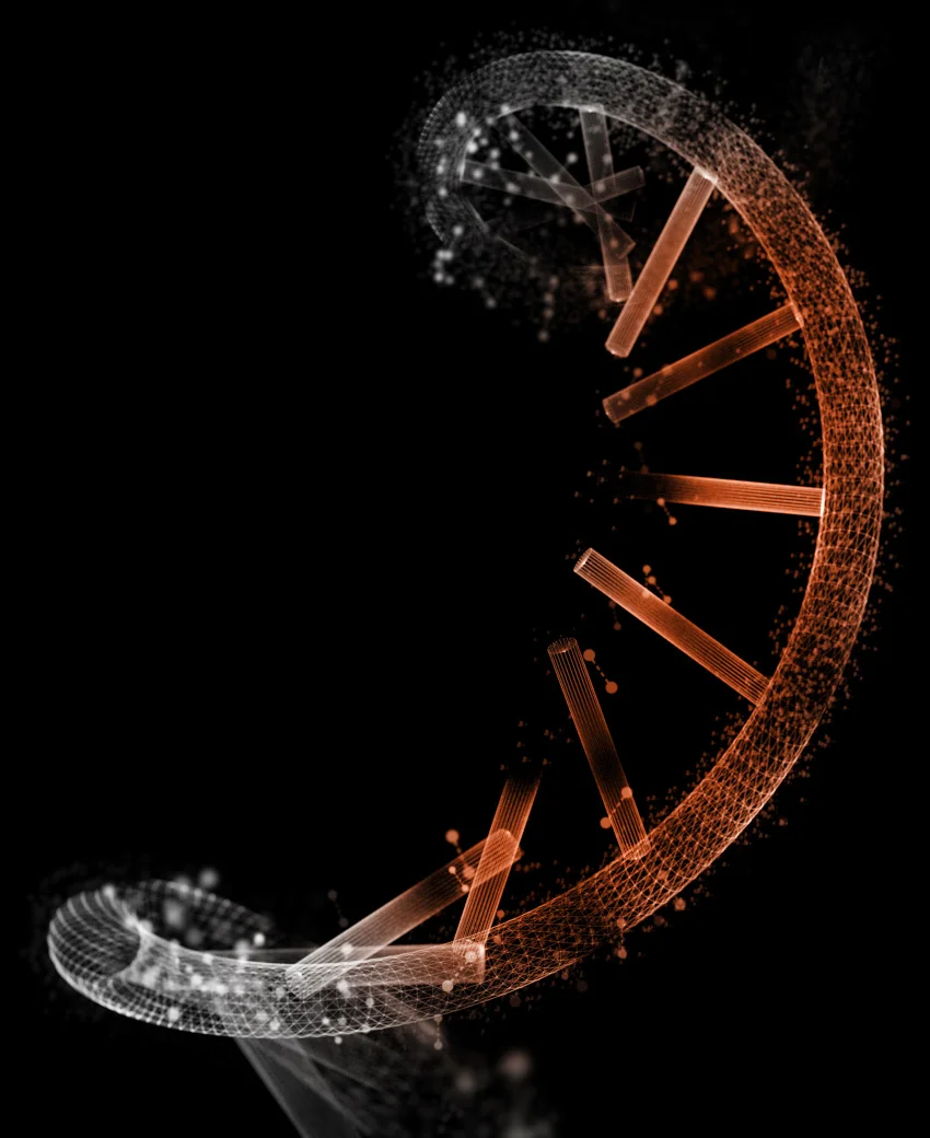 DNA Script