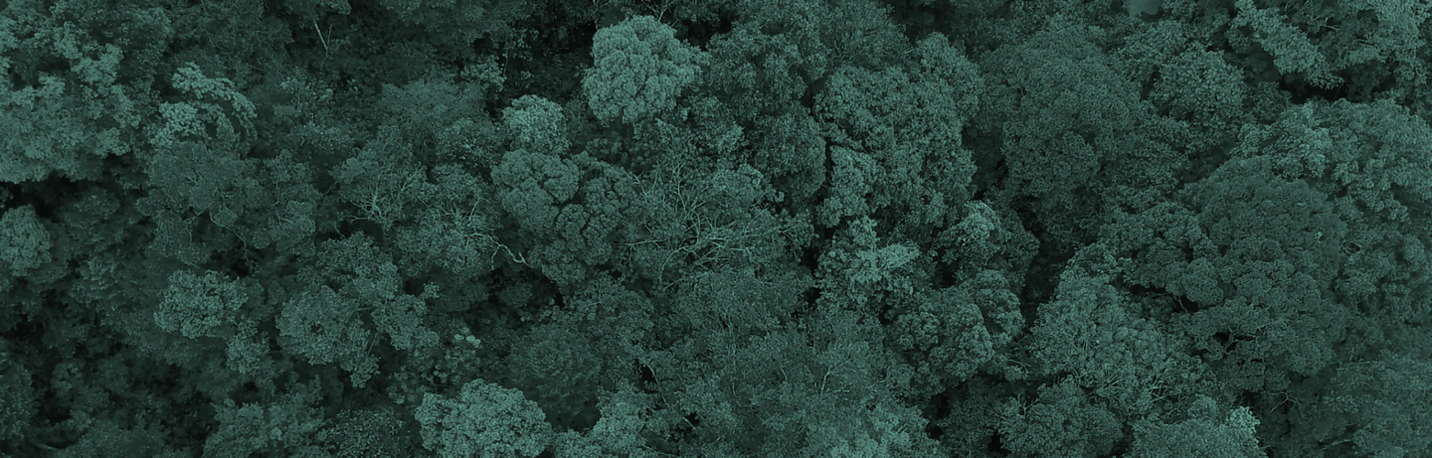Earthsight Analytics