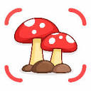 Fungio