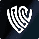 Gray Swan AI