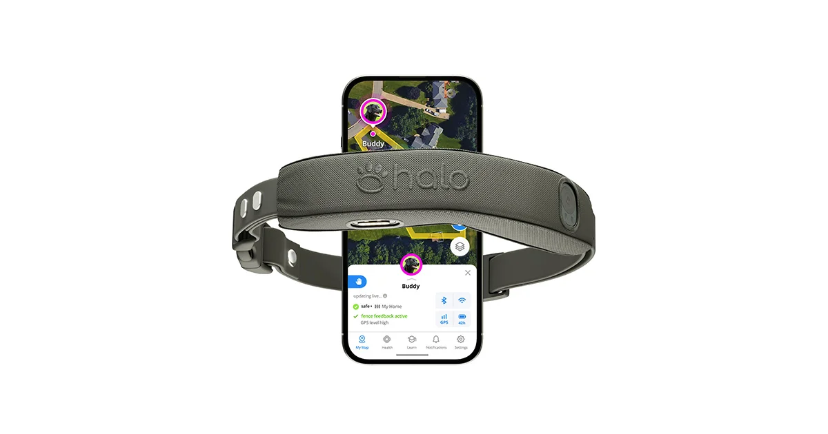 Halo Collar