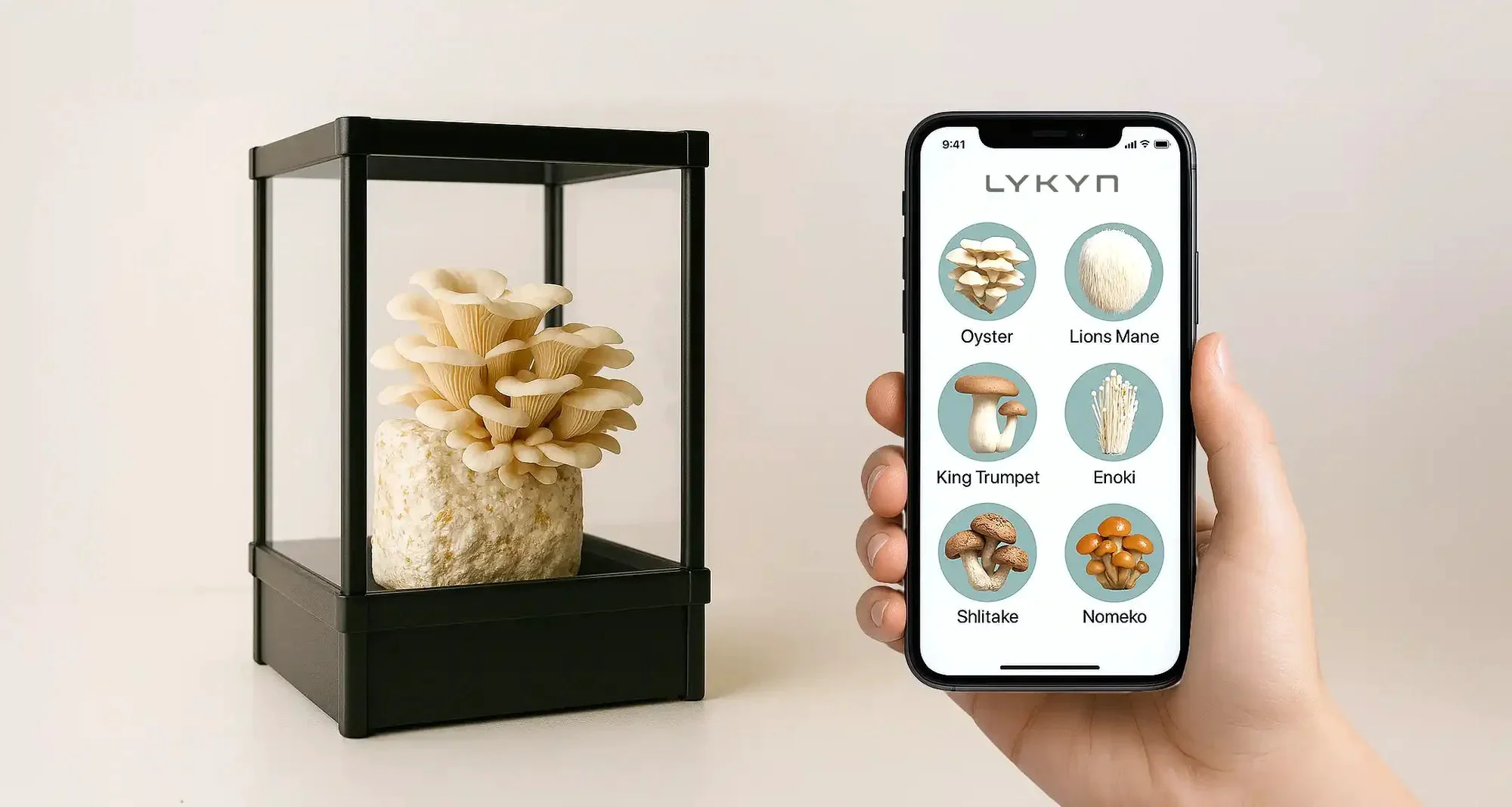 Lykyn