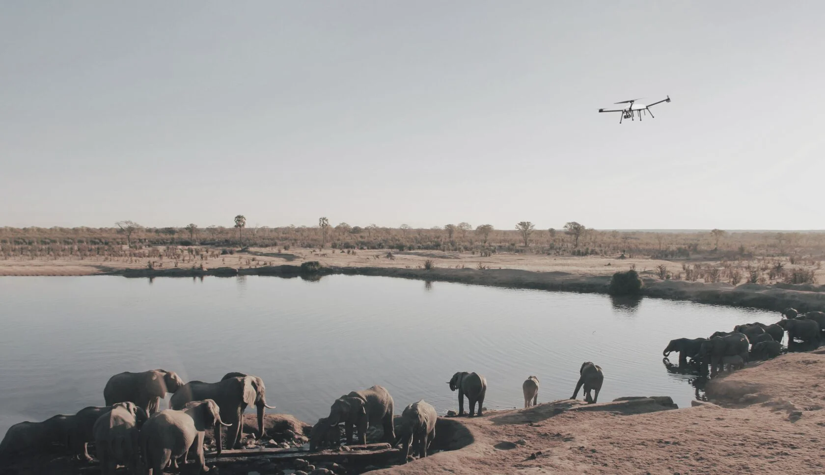 Microavia Anti-Poaching