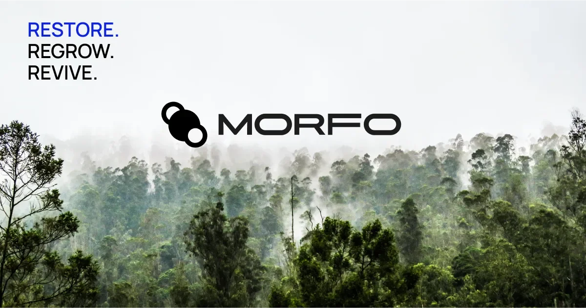 Morfo