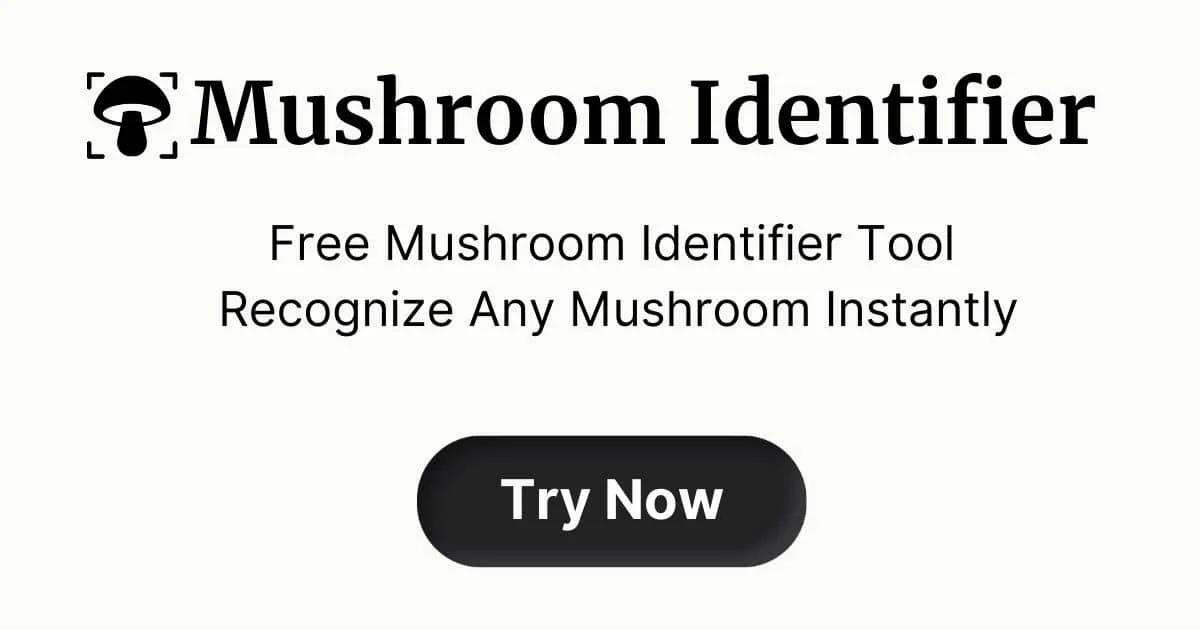 Mushroom Identifier