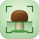 Mushroom Identifiers