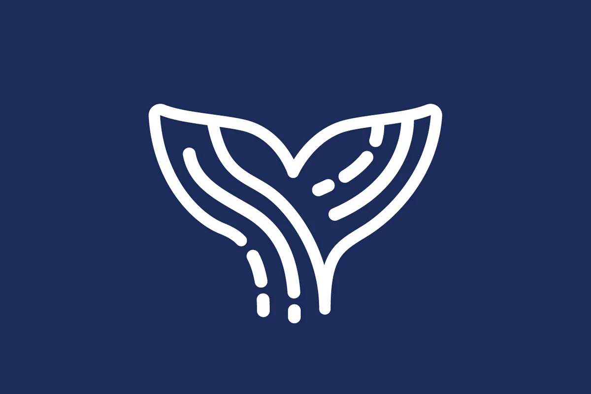 Orca AI