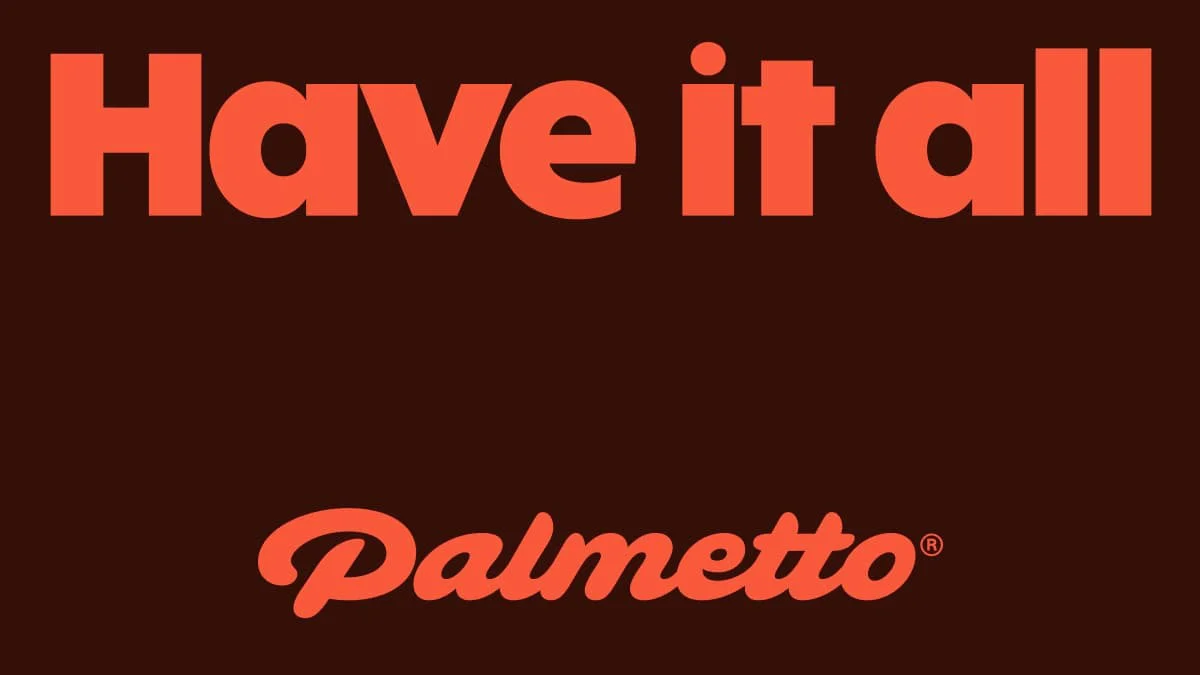 Palmetto Energy Intelligence