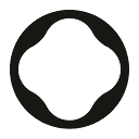 Patch Carbon