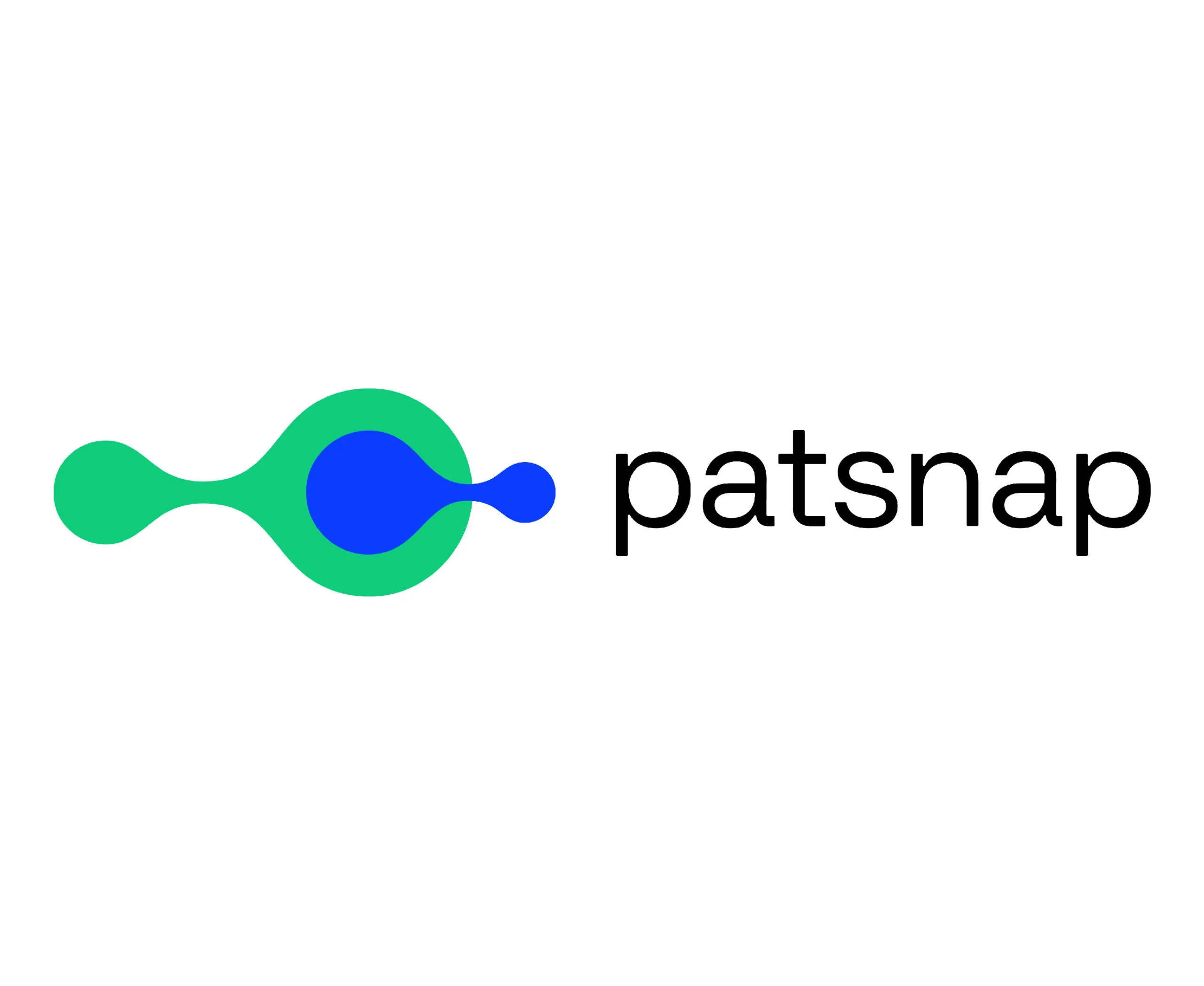 PatSnap