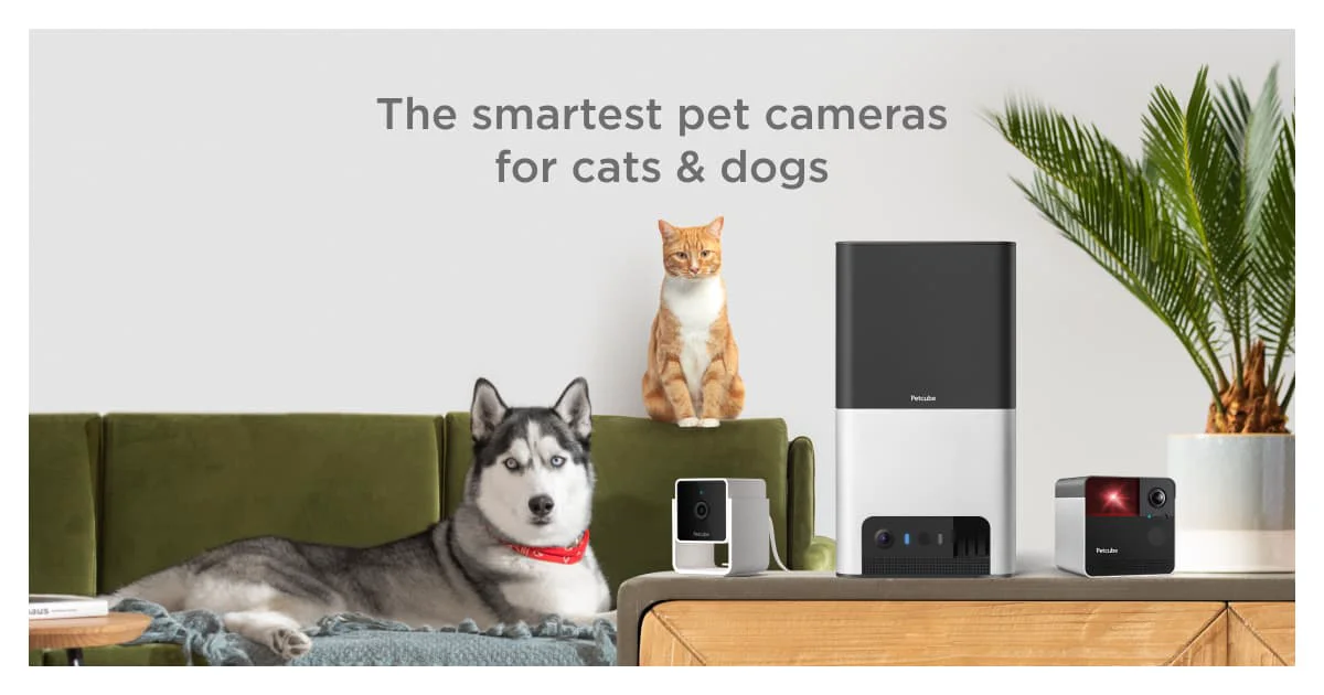 Petcube