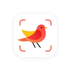 Picture Bird