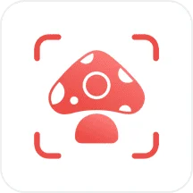Picture Mushroom