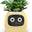 Plantagotchi
