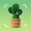 Plantum