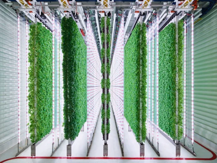 Plenty AgTech