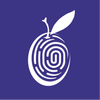 Plum Identity