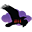 Raven Pro