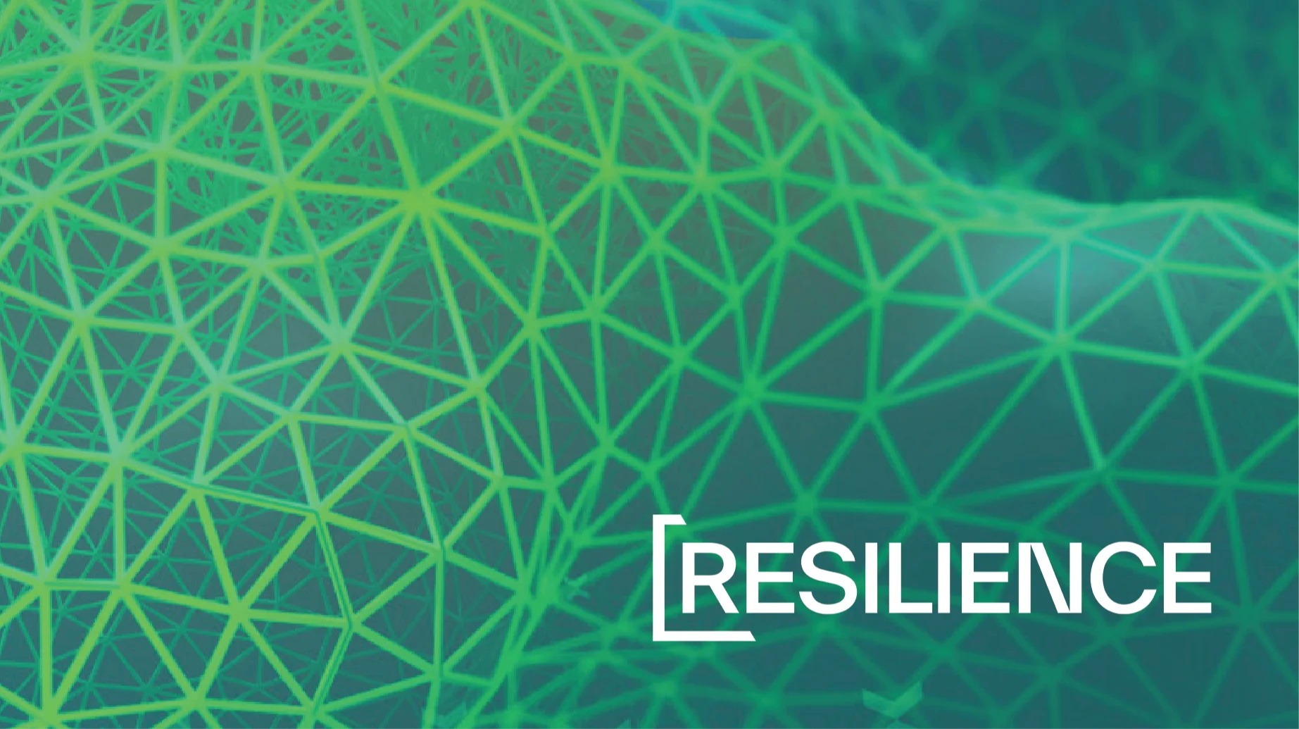 Resilience