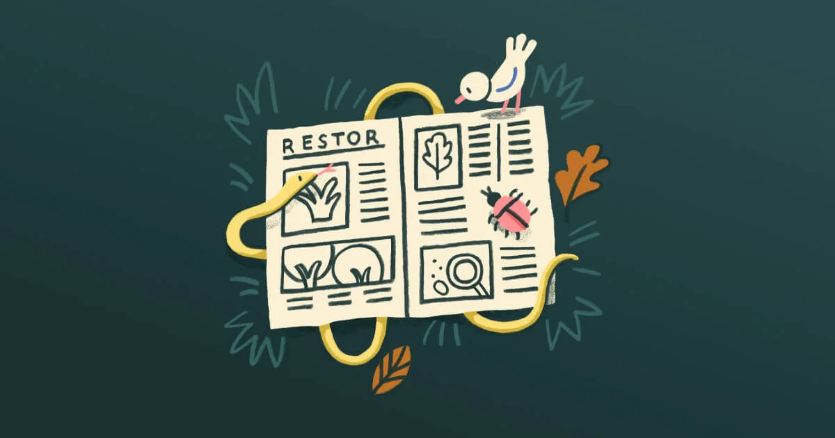 Restor