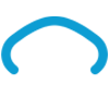 IrisVision