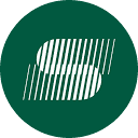 Sport AI