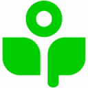 Sprout AI Insurance