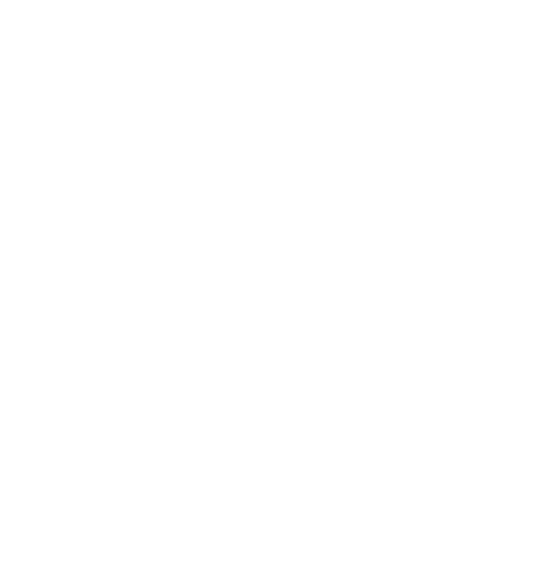 Vet-AI