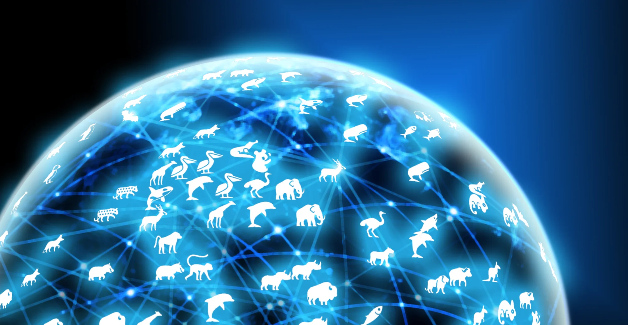 WildlifeData.org