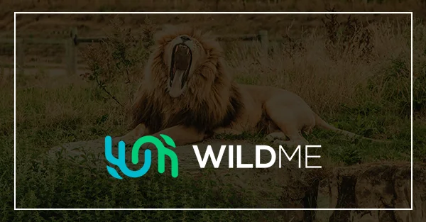 Wild Me