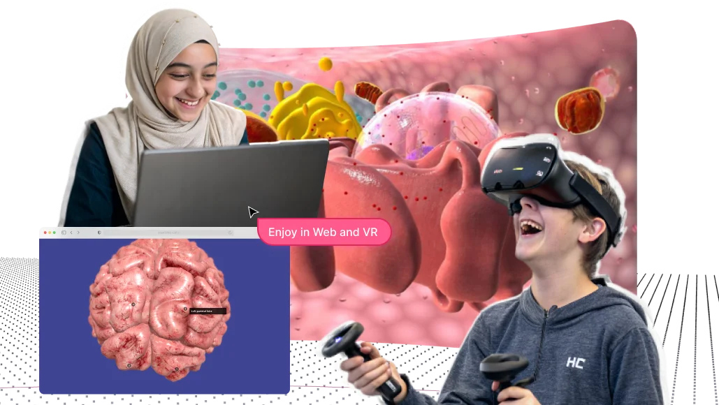 XReady Lab