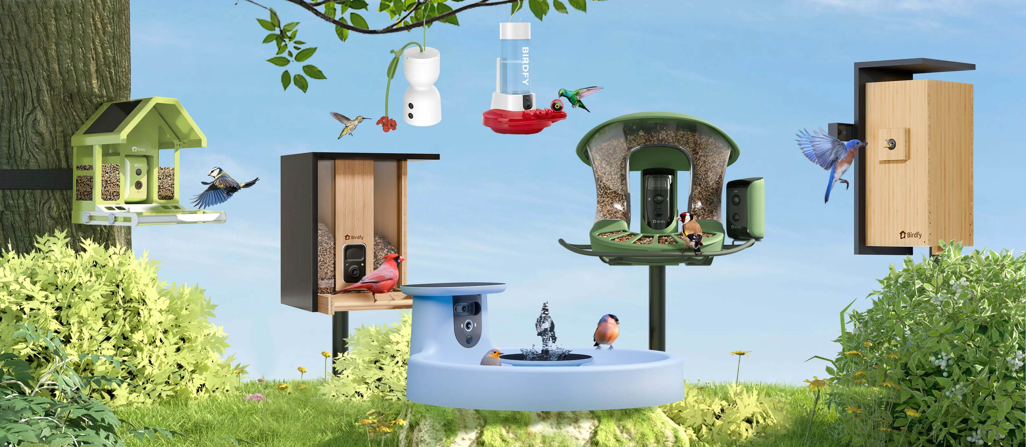Birdfy